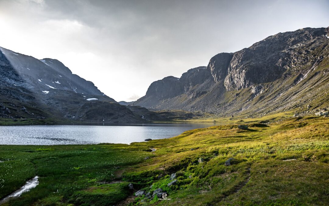 Hardangervidda nasjonalpark
